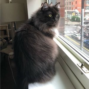 Meet your Posher, seeveeoh_chic_label8